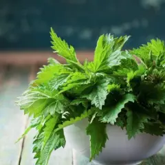 Torbiele nerek - naturalne leczenie ziołami