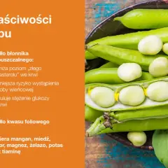 Czy bób jest zdrowy? Poznaj prawdę o wartościach odżywczych i korzyściach