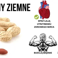 Czy orzeszki ziemne są zdrowe? 5 faktów o wpływie fistaszków na organizm