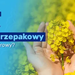 Czy olej rzepakowy jest zdrowy: Prawda o jego wpływie na Twoje zdrowie