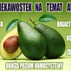 Czy awokado jest zdrowe: 7 zaskakujących faktów o tym superfoodzie