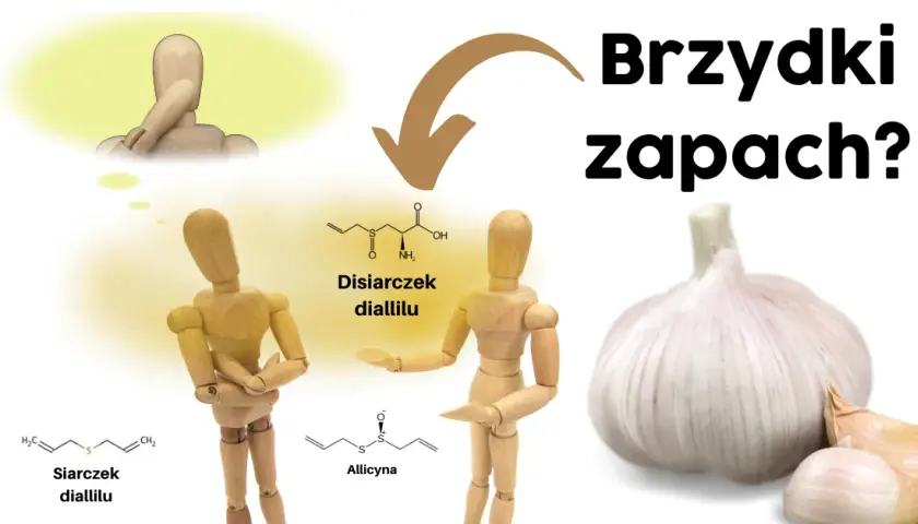 Czy czosnek jest zdrowy? Odkryj jego niesamowite właściwości!