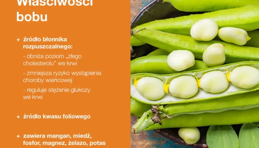 Czy bób jest zdrowy? Poznaj prawdę o wartościach odżywczych i korzyściach